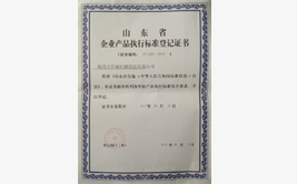 魯磁山東省產(chǎn)品執(zhí)行標(biāo)準(zhǔn)登記書(shū)