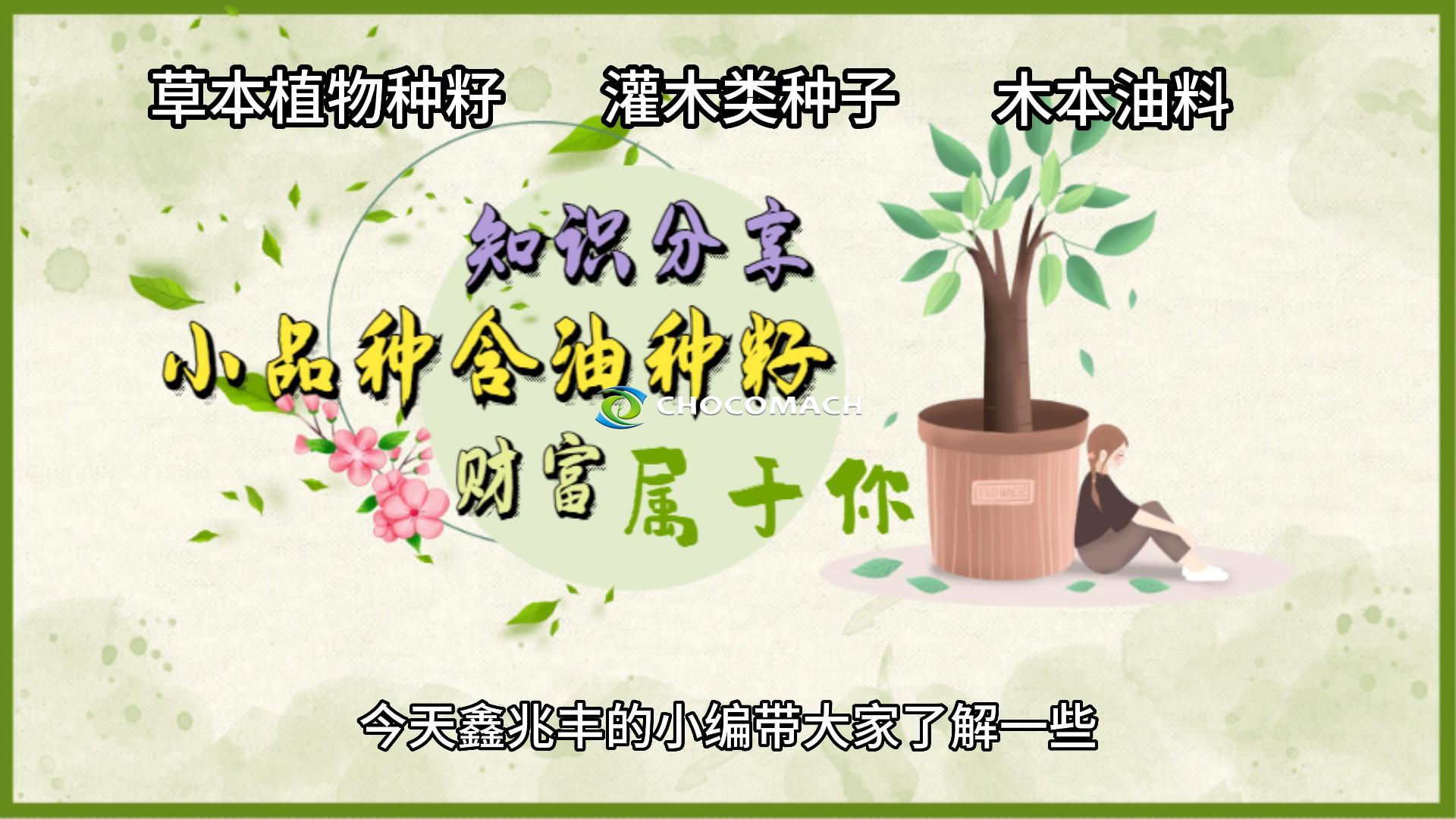 知識分享：小品種油料有哪些利用價值？液壓榨油機知識分享