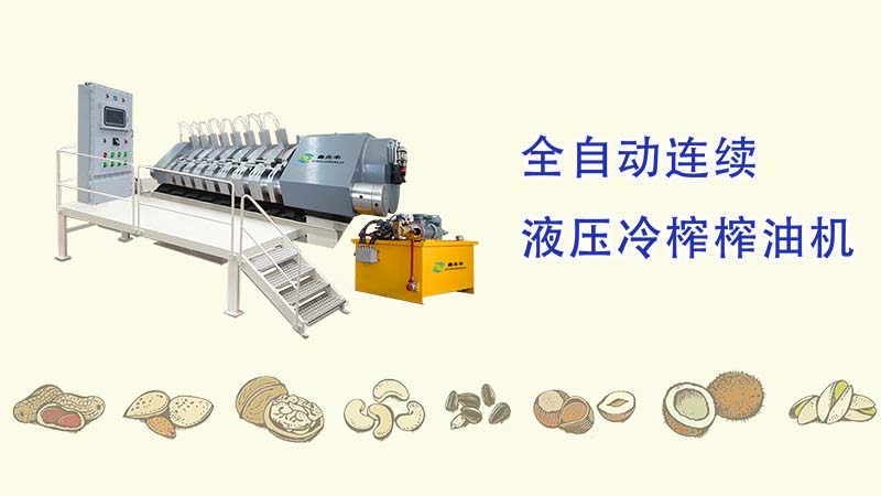 鑫兆豐YZYW全自動液壓榨油機(jī)_一種可壓榨可可、核桃、芝麻、花生、茶籽等需要分離油脂保留植物蛋白的高端液壓榨油機(jī)