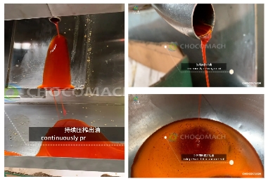 液壓榨油機，物理壓榨，品質之選，助力辣椒加工提質增效