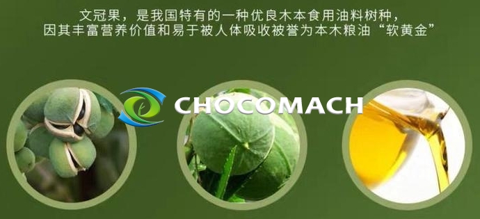 防風(fēng)固沙 “獨(dú)苗” 文冠果 | 北方油茶文冠果 | 58% 油脂率撐起的食品、能源與生態(tài)版圖